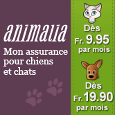 banner-166x166-fr