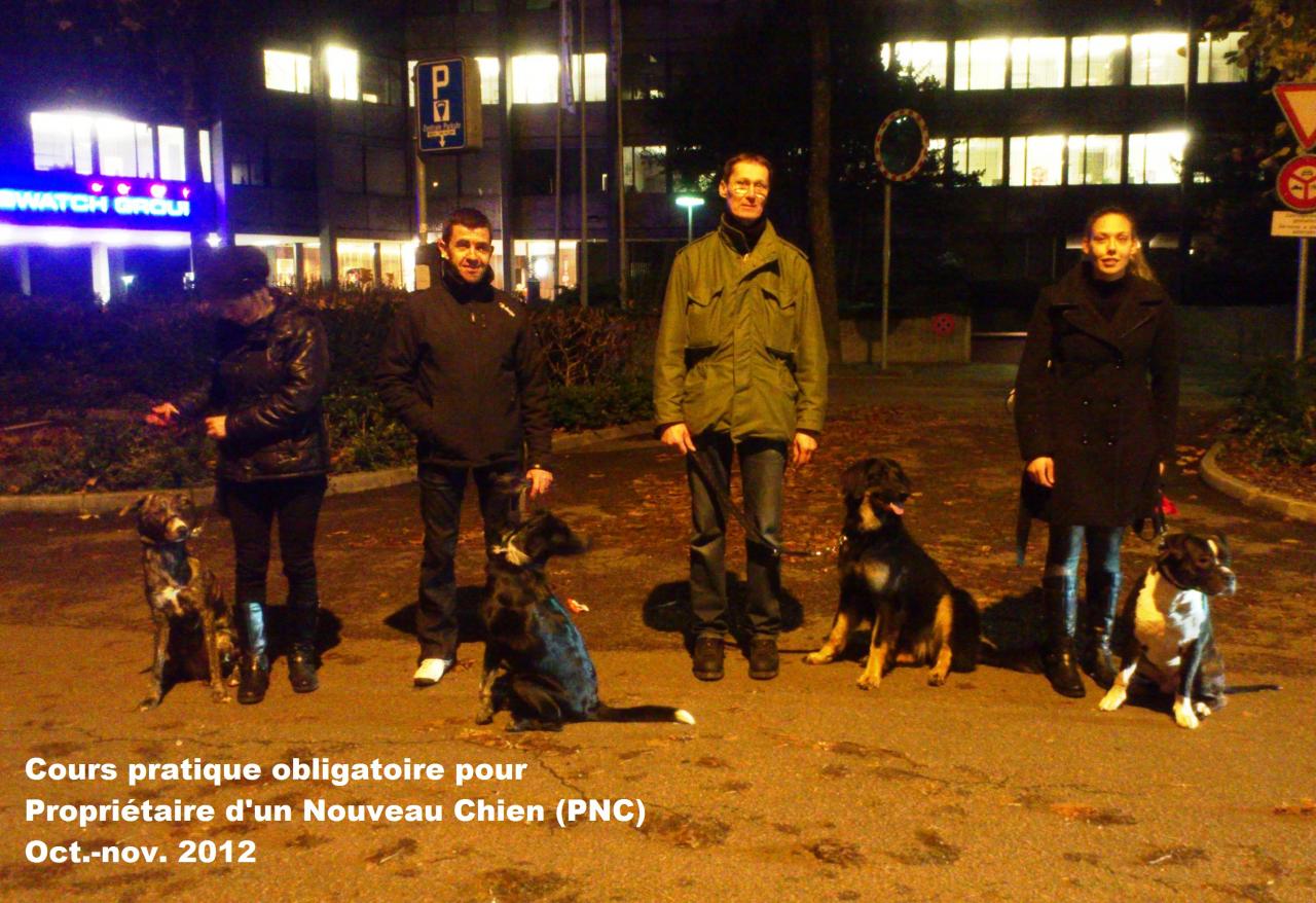 PNC11.12