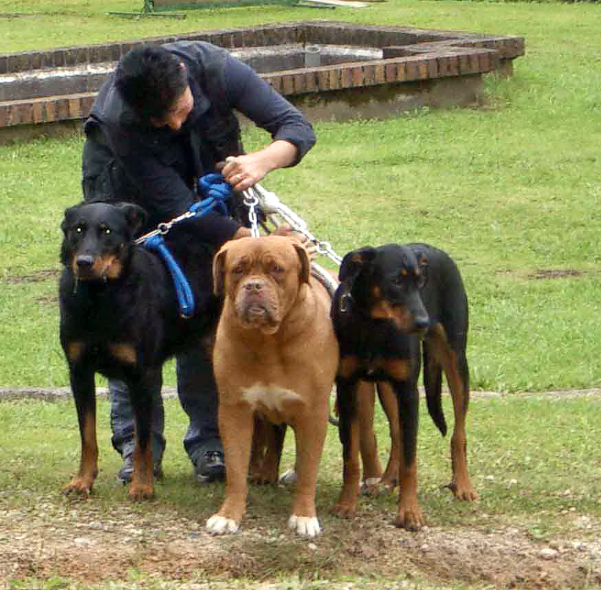 Le trio de choc
