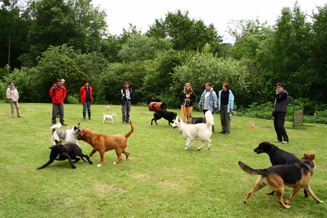 Cours de groupe