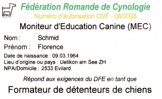 Brevet MEC
