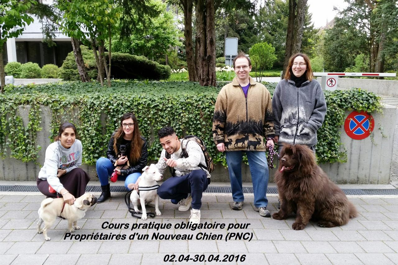 PNC 0416