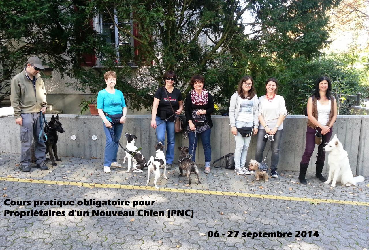 PNC 9.14)3