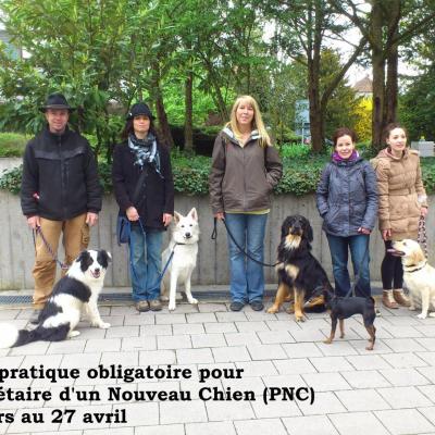 Cours obligatoire