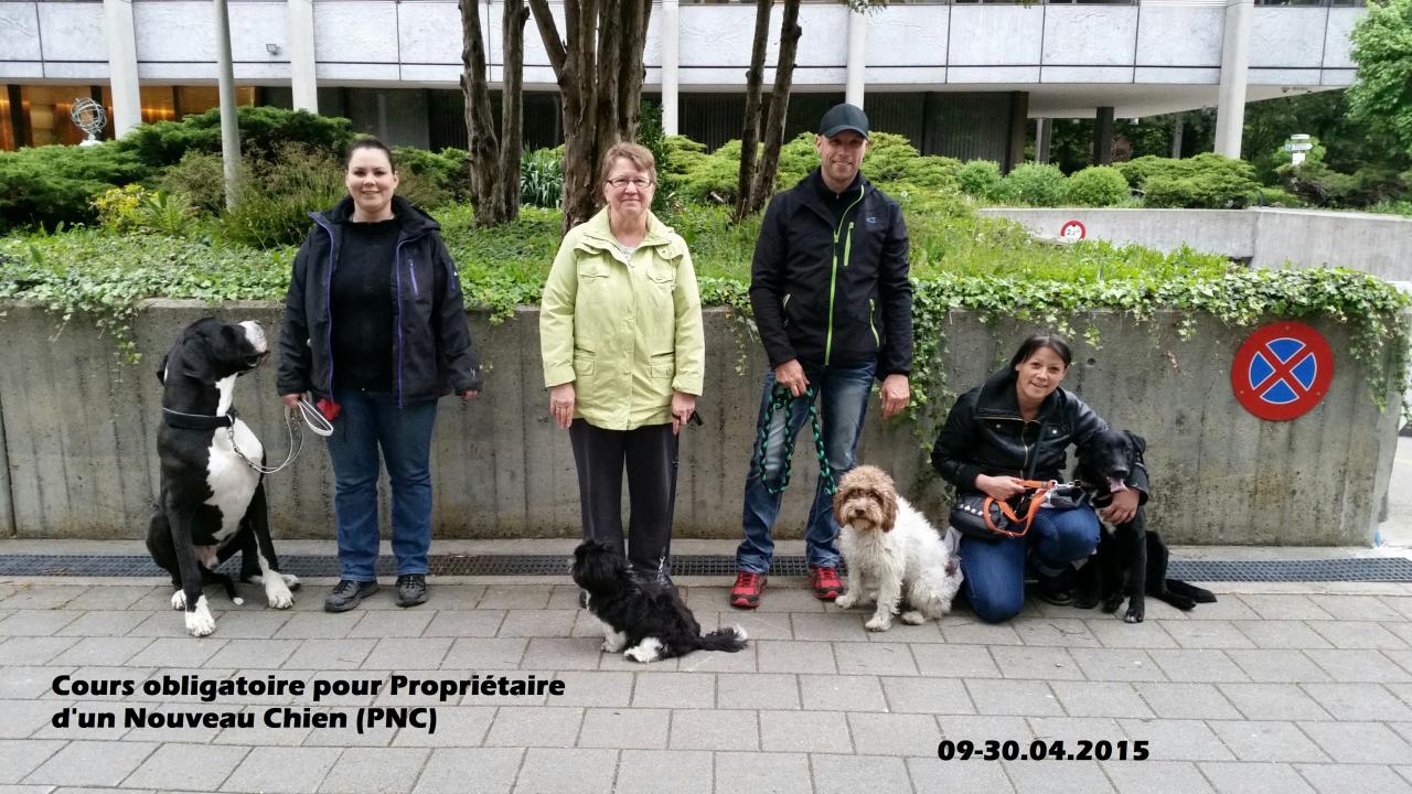 PNC4.15(2)