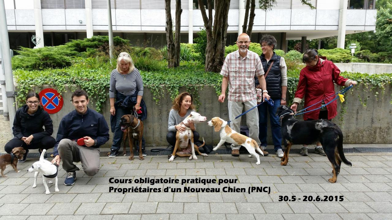 PNC6.15(1)