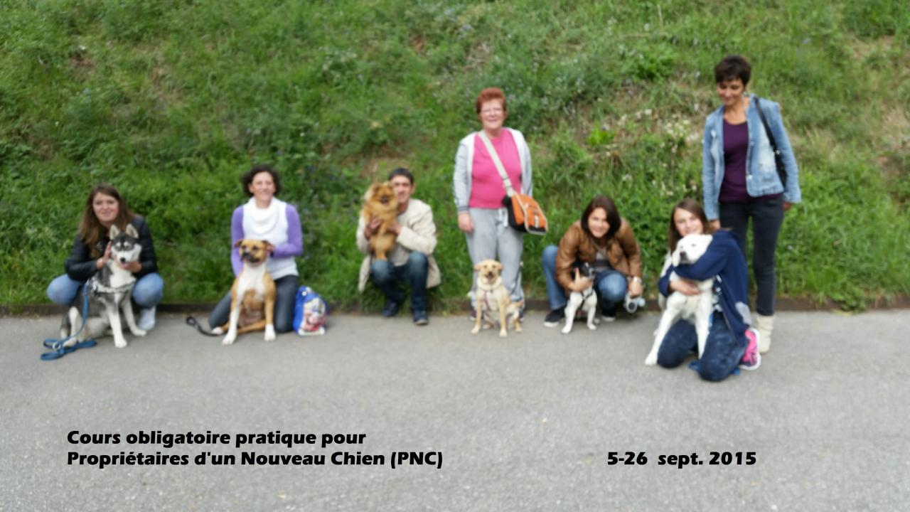PNC9.15(2)
